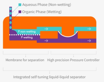 Transparent Line Separator Png - Liquid Liquid Membrane Separation, Png Download, Transparent PNG