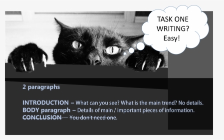 Ielts Writing Tip - Cats And Daylight Savings, HD Png Download, Transparent PNG