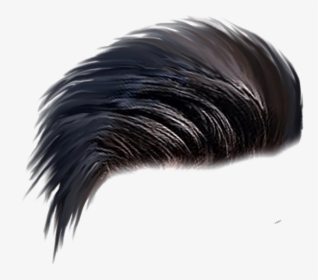 Men Hair Png Transparent Image - Hair Style Png Hd, Png Download, Transparent PNG