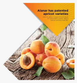 Apricot - Fruits Et Légumes Qui On Du Fer, HD Png Download, Transparent PNG