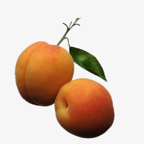 Apricot - Orange Color Fruits Png, Transparent Png, Transparent PNG