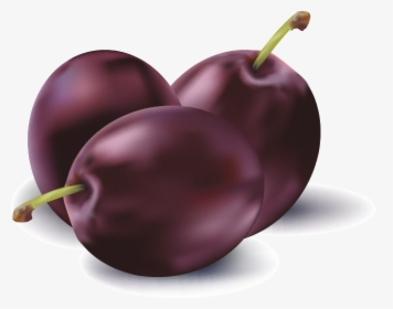 Transparent Apricot Png - Fruit Icon Realistic, Png Download, Transparent PNG