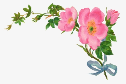 Country Vintage Floral Clipart - Flower Border On Transparent, HD Png Download, Transparent PNG