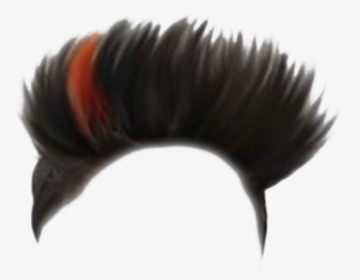Cb Hair Png,picsartallpng - Danish Zehen Background Images Hd, Transparent  Png , Transparent Png Image - PNGitem
