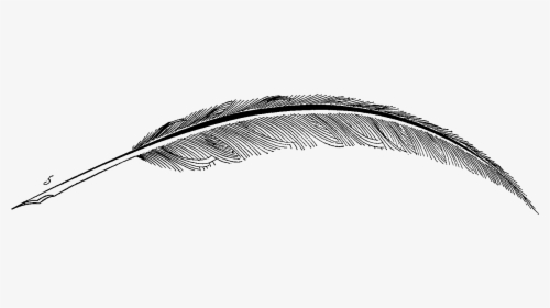The Quill Pen [quill] - Transparent Background Feather Pen Clipart, HD Png Download, Transparent PNG