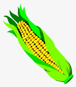 Corn Ear Of Clipart Transparent Png - Ear Of Corn Png, Png Download, Transparent PNG