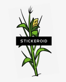 Transparent Corn Stalk Bundle Clipart - Clip Art, HD Png Download, Transparent PNG