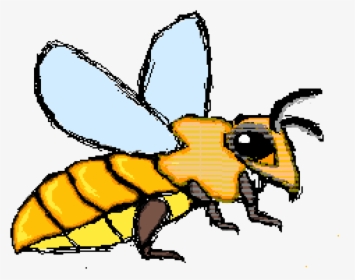Bee Not Flying - Cartoon, HD Png Download, Transparent PNG