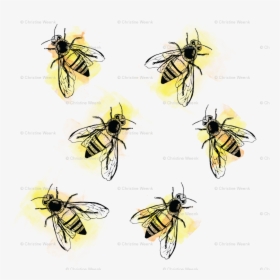 Watercolor Bees Wallpaper - Transparent Watercolor Bee, HD Png Download, Transparent PNG