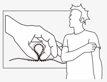 Illustration, HD Png Download, Transparent PNG