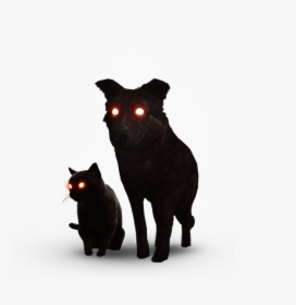 Witcher Wiki - Witcher 3 Black Cat And Dog, HD Png Download, Transparent PNG