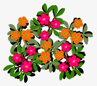 Flower - Clip Art Portulaca, HD Png Download, Transparent PNG