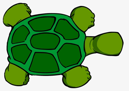 Turtle, Top, View, Animal, Green - Turtle Cartoon Top View, HD Png Download, Transparent PNG