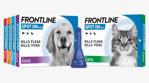 Frontline Spot On Cat, HD Png Download, Transparent PNG