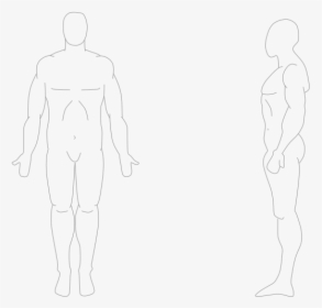 Human Body Front And Side - Anatomical Position Front And Side, HD Png Download, Transparent PNG