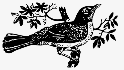 To Kill A Mockingbird Clip Art - Mockingbird Clipart, HD Png Download, Transparent PNG