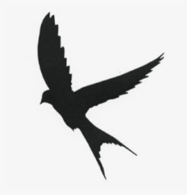 Silhouette Mockingbird Swallow - Bird Tattoo Silhouette, HD Png Download, Transparent PNG