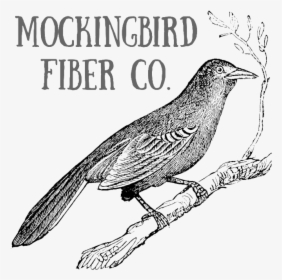 Mockingbird Png, Transparent Png, Transparent PNG