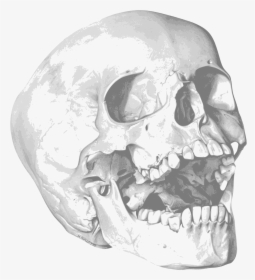 Skull Clip Arts - Skull Halloween Party Invitation, HD Png Download, Transparent PNG
