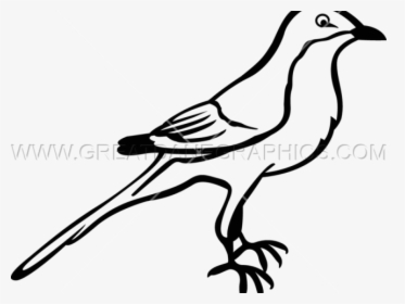 Mockingbird Drawing Easy, HD Png Download, Transparent PNG