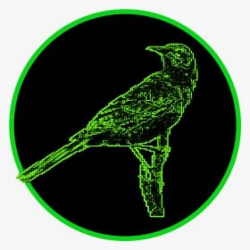 Undead Mockingbird - Circle, HD Png Download, Transparent PNG