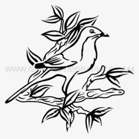 Transparent Mockingbird Png - Kill A Mockingbird Drawing, Png Download, Transparent PNG