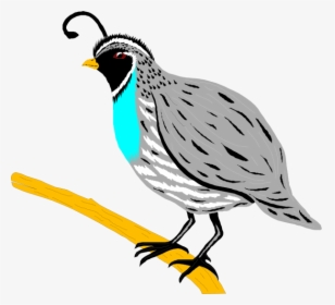 Mockingbird Clipart Hostted - Quail Clip Art, HD Png Download, Transparent PNG