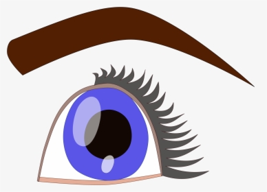 Blue Eyes Clipart Eyeball - Clip Art, HD Png Download, Transparent PNG