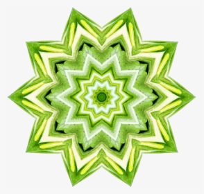 Flower,leaf,symmetry - Illustration, HD Png Download, Transparent PNG