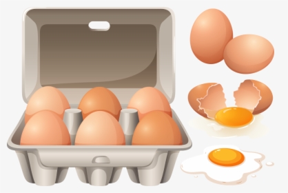 Scrambled Eggs Egg Carton - Box Of Egg Vector, HD Png Download, Transparent PNG