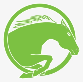 Transparent Horse Icon Png - Stallion, Png Download, Transparent PNG