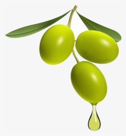 Olive Png, Transparent Png, Transparent PNG