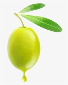 Olive Png - Green Olive Stickers, Transparent Png, Transparent PNG