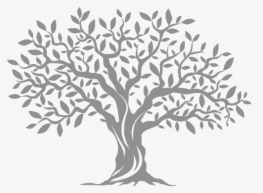 Olive Tree Computer Icons - Olive Tree Silhouette Png, Transparent Png, Transparent PNG