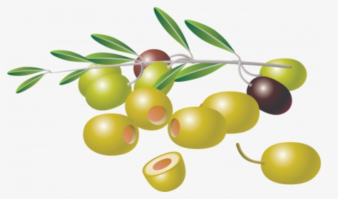 Now You Can Download Olives Png Picture - Clipart Picture Of Olives, Transparent Png, Transparent PNG
