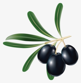 Olives Png Image - Black Olive Png, Transparent Png, Transparent PNG