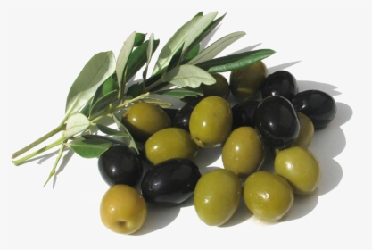 Olives Png Picture - Green And Black Olives, Transparent Png, Transparent PNG