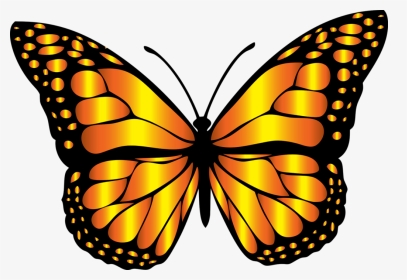 Butterfly Clipart Orange Clip - Butterfly Clipart, HD Png Download, Transparent PNG