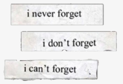 #sad #quotes #quote #aesthetic #tumblr #tumblraesthetic - Never Forget I Dont Forget I Cant Forget, HD Png Download, Transparent PNG