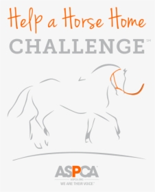Help A Horse Home Orange And Gray Logo - Stallion, HD Png Download, Transparent PNG