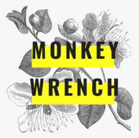 Monkey Wrench Logo Square, HD Png Download, Transparent PNG