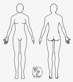 Human Body Outline Png - Human Body Outline Female, Transparent Png, Transparent PNG