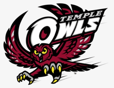 Temple Owls, HD Png Download, Transparent PNG