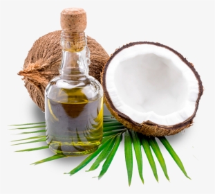 Thenarasu Coconut Oil - Transparent Background Coconut Oil Png, Png Download, Transparent PNG