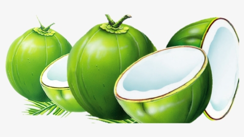 #mq #green #coconut #coconuts - Green Transparent Background Coconut Png, Png Download, Transparent PNG