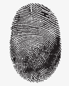 Fingerprint Image Scanner No Icon - Transparent Background Fingerprint Png, Png Download, Transparent PNG