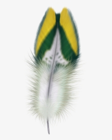Feather Png Transparent Image - Feathers, Png Download, Transparent PNG