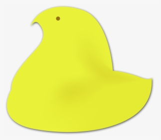 Buncee, HD Png Download, Transparent PNG