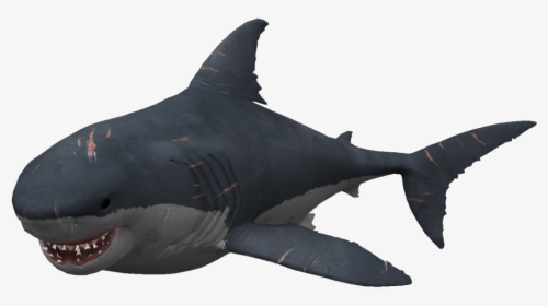 Transparent Megalodon Png - Megalodon Shark Vs Diver Depth, Png Download, Transparent PNG