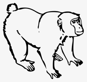 Gorilla Ape - Monkey Black And White Clipart, HD Png Download, Transparent PNG